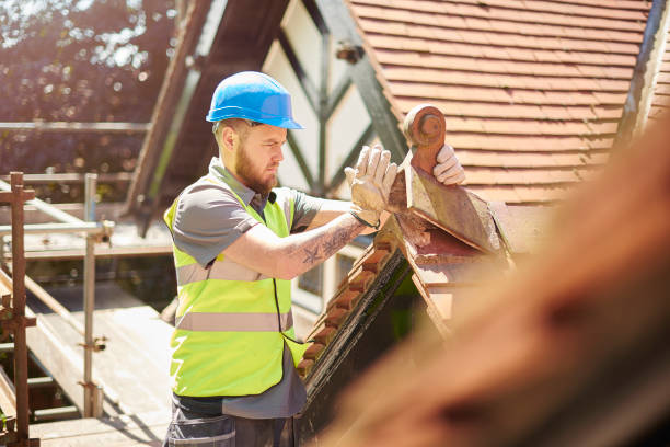 Best Gutter Installation and Roofing  in Tioga, TX